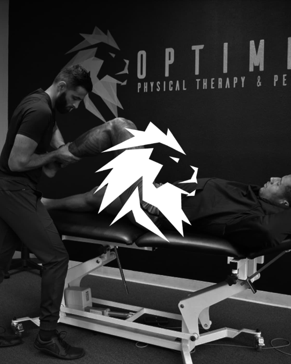 Optimize Physical Therapy